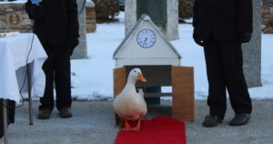 Scrambleduck Com