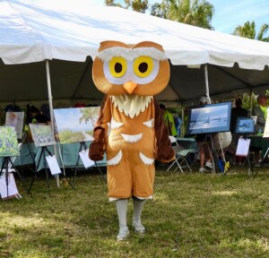 Athene The Burrowing Owl Ghd